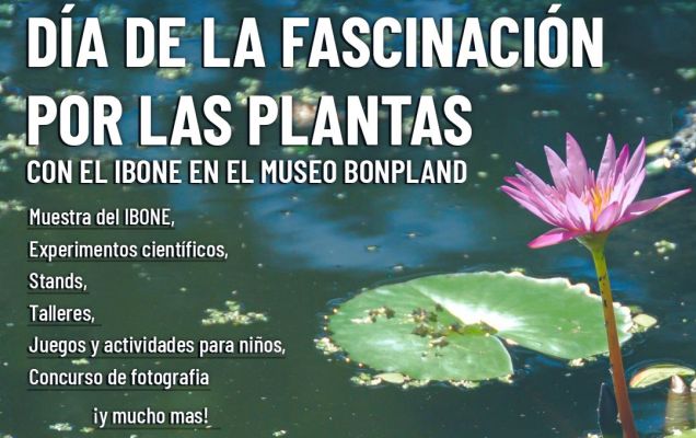 Imagen Noticia