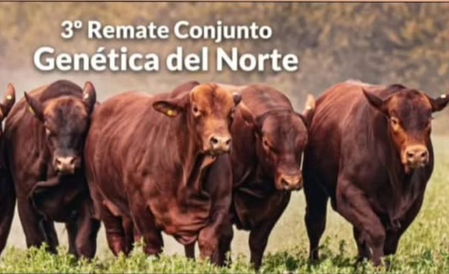 Imagen Noticia